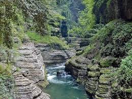 GOLE DEL GARRAFO