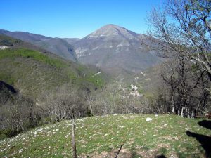 Monte Cardosa