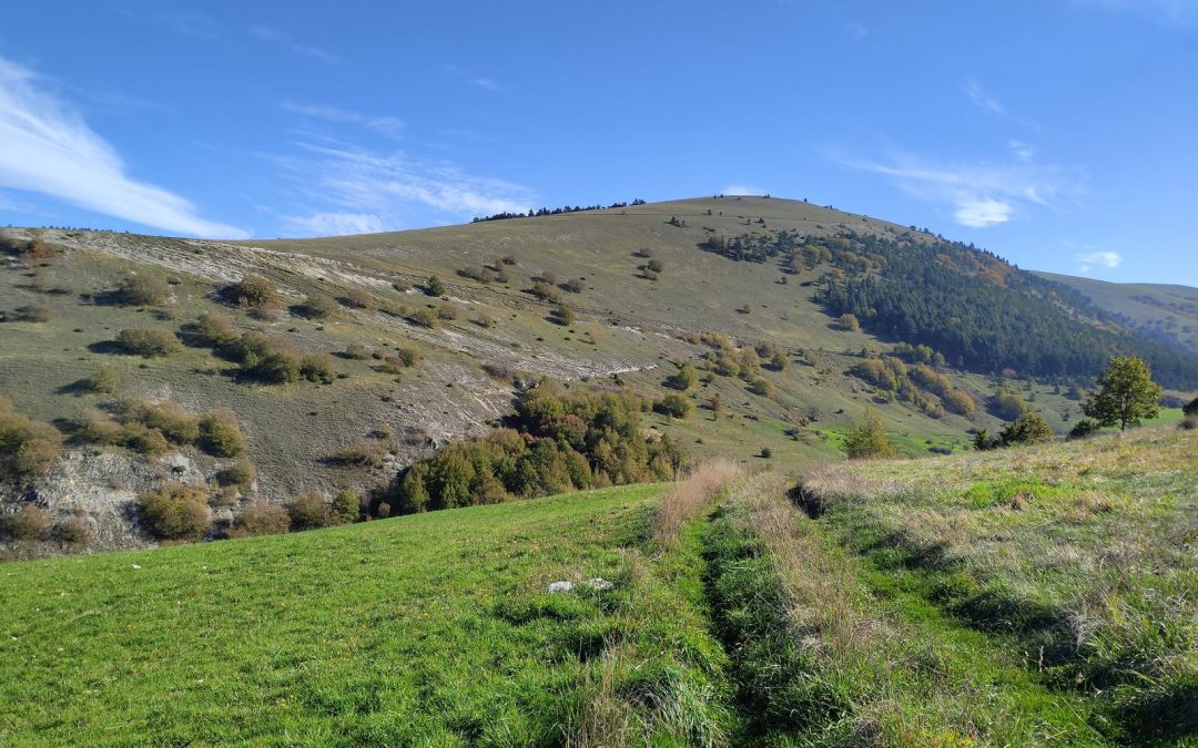 MONTE TOLAGNA