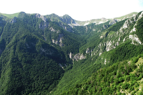 Monte Elefante sabato 31 Maggio