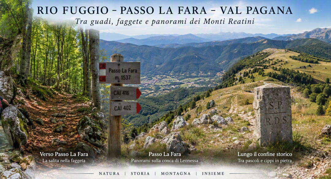Immagine dell`evento