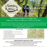 La locandina dell`iniziativa