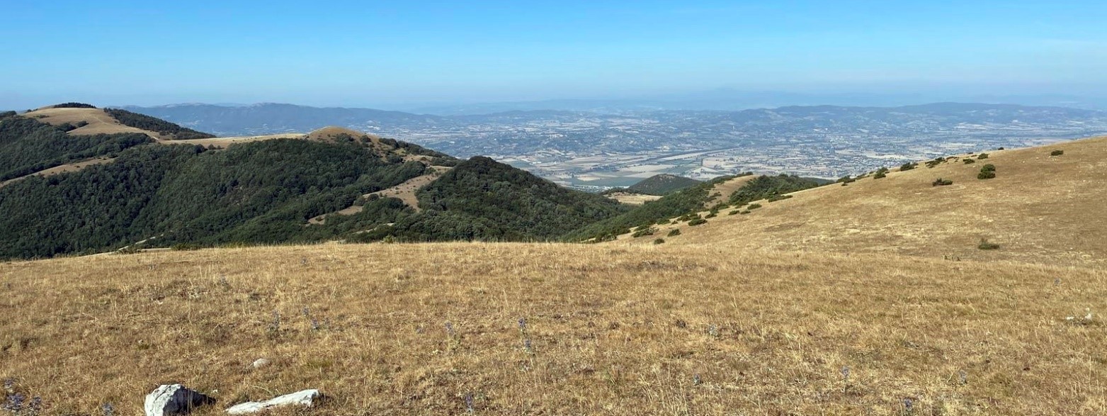 Da Cancelli al Monte Puranno – Mercoledì 05 marzo 2025