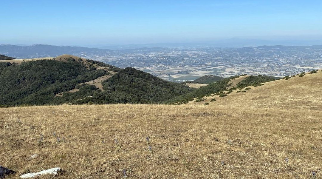 Panorama dalla cima del Monte Puranno