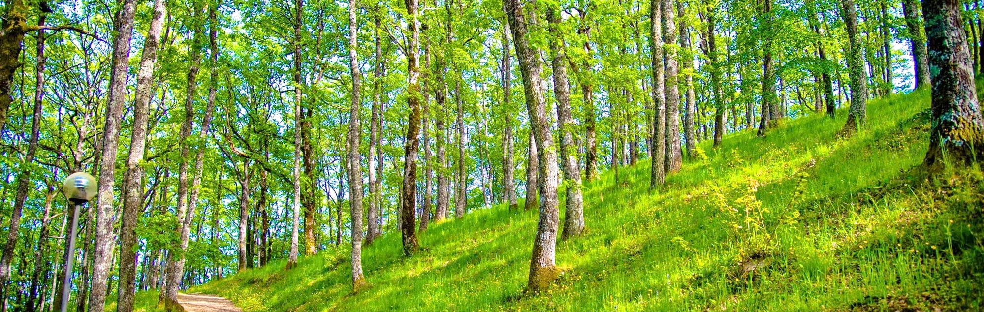 Monte Peglia e Parco dei Sette Frati – 28 maggio 2025