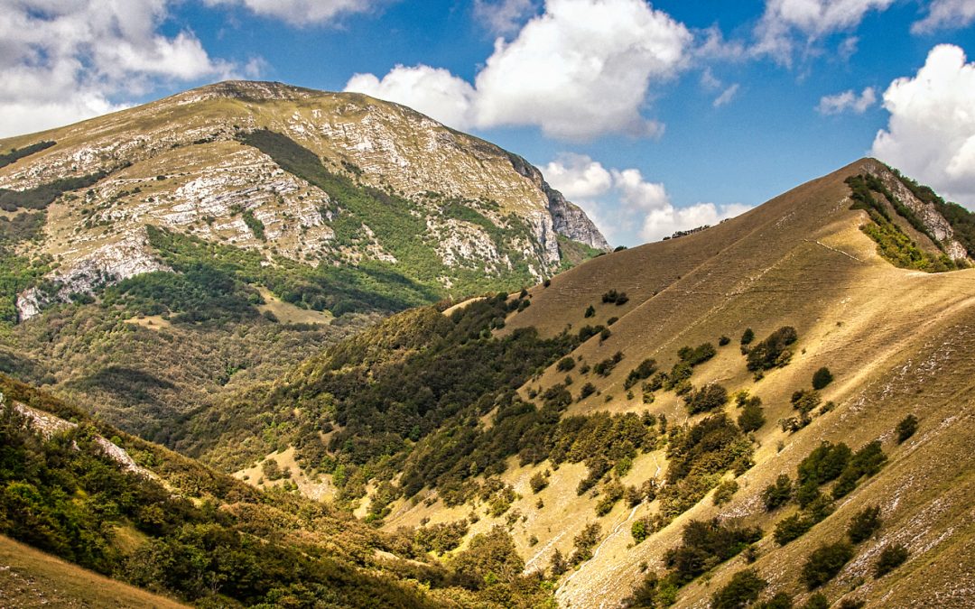 Immagine del Monte Cucco