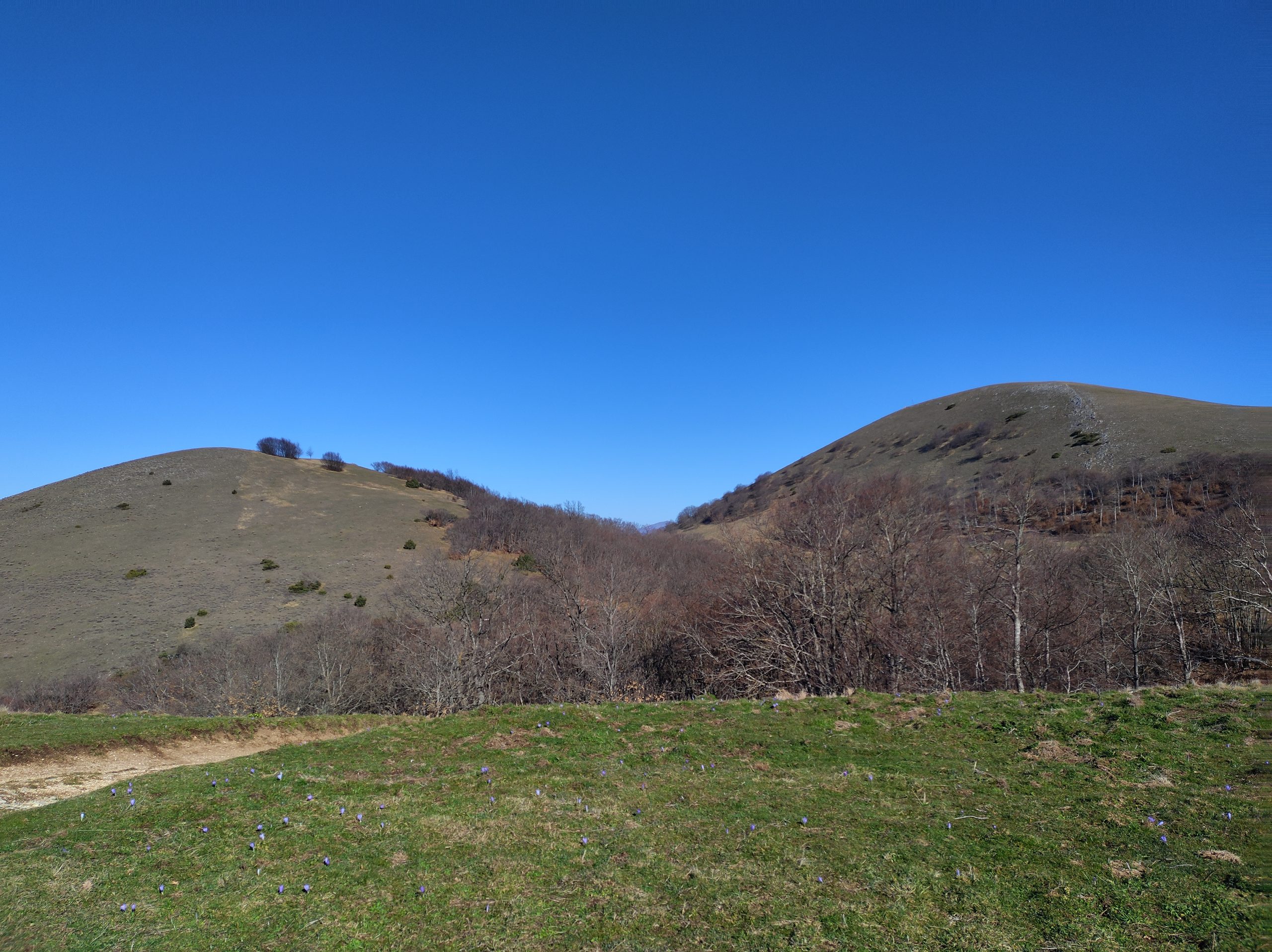 MATTUTINO DEL 19/010/2025