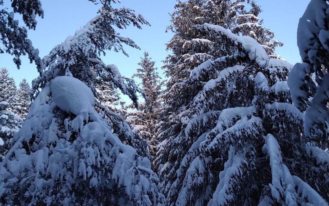 Immagini dei Sibillini innevati