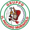 Picchio Muraiolo