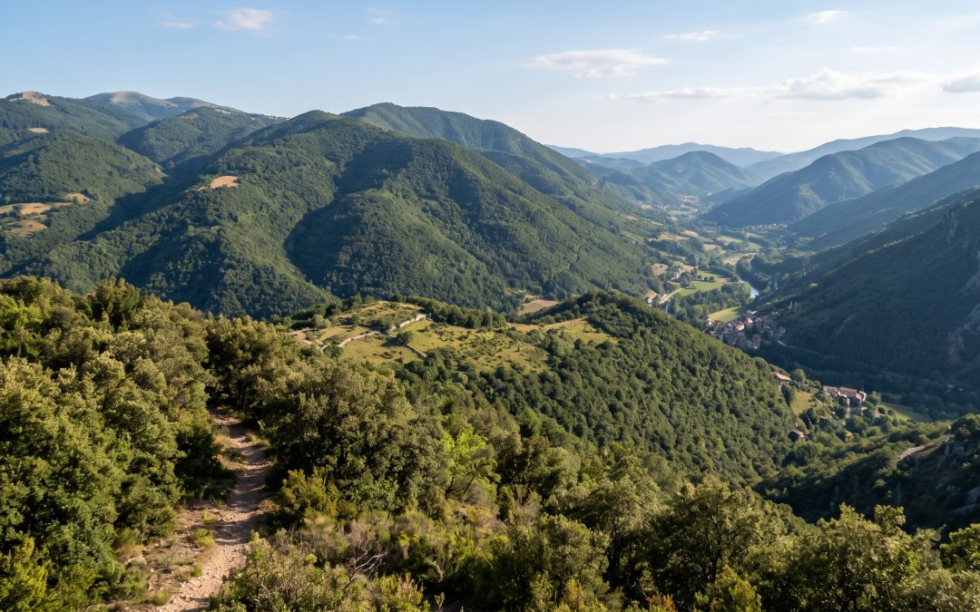 Immagine dell`evento