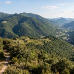 Immagine dell`evento