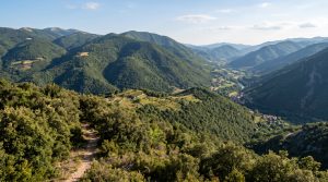 Immagine dell`evento