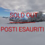 SOLD OUT