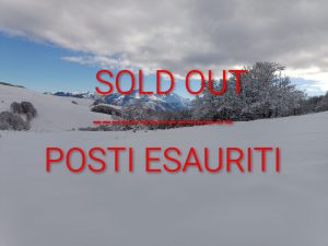 SOLD OUT