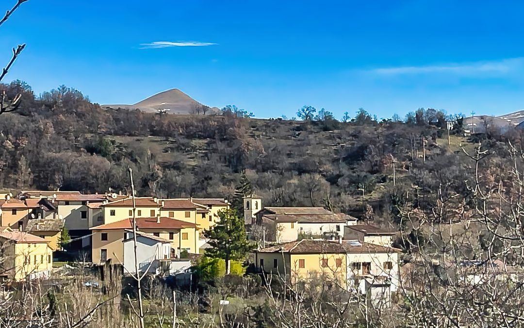 Ocricchio