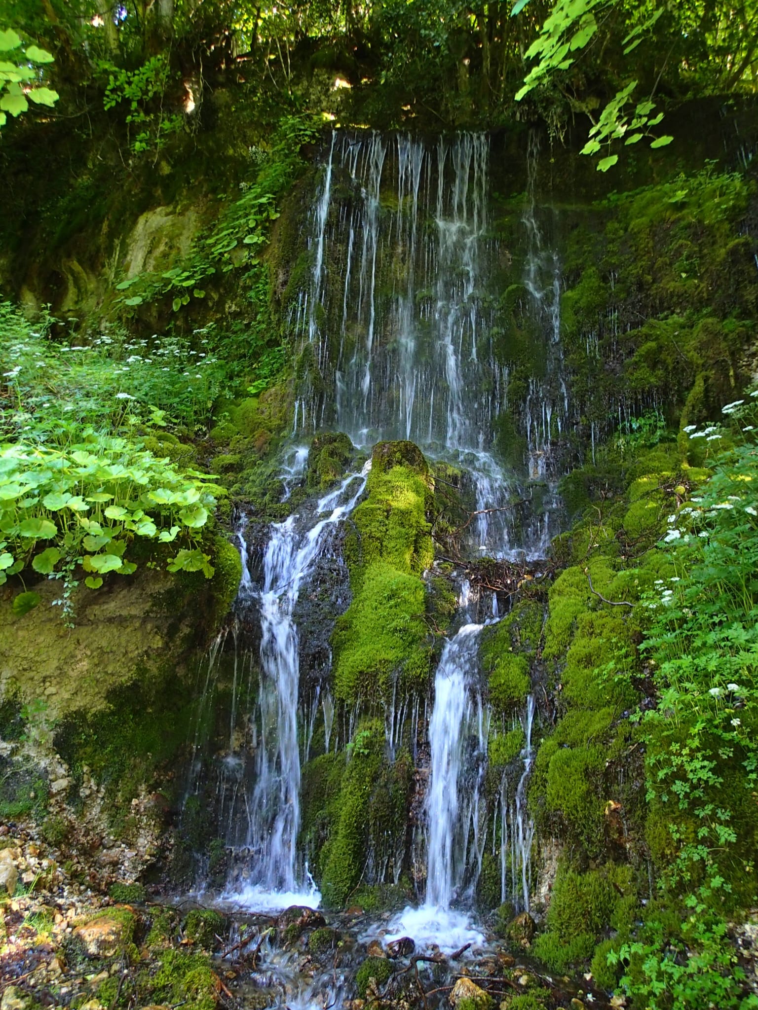 MONTAGNATERAPIA PIEVE TORINA – FIUME 27 AGOSTO 2025 IN CONVENZIONE CAI E COOP LA GOCCIA