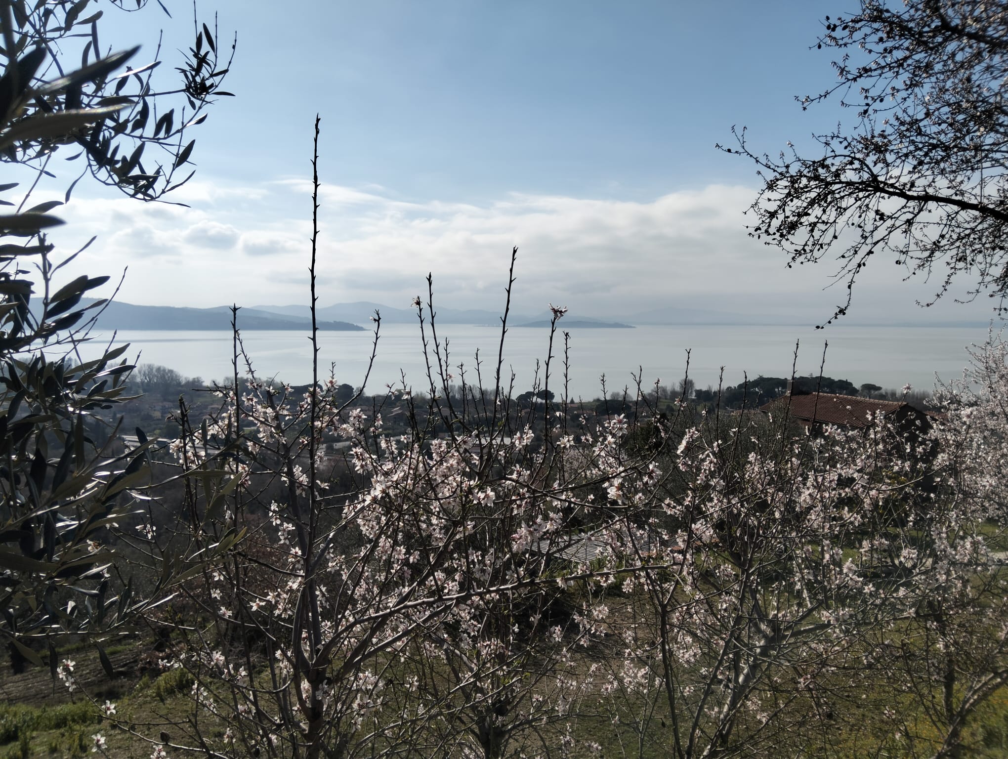 Tra i colli fioriti di Passignano sul Trasimeno 29 Marzo 2026