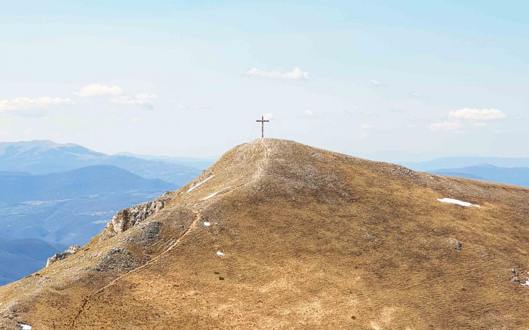 MONTE PATINO